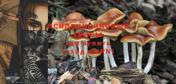 марки nbome Ростов