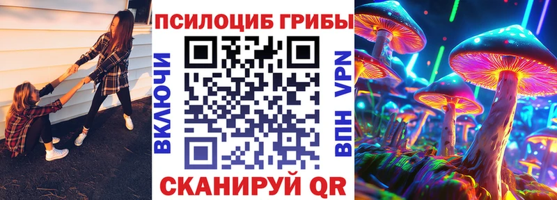 где купить наркоту  Фатеж  Псилоцибиновые грибы прущие грибы 